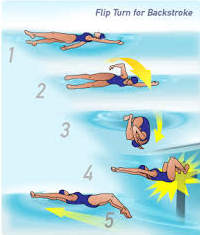 pembalikan gaya punggung