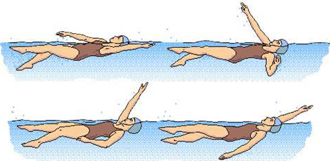 teknik dasar renang gaya punggung