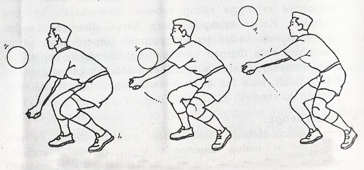 5 Teknik Dasar Permainan Bola Voli Yang Harus Dikuasai Pemain