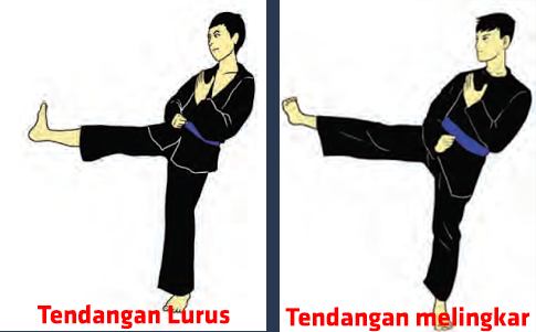 tendangan melingkar dan tendangan lurus