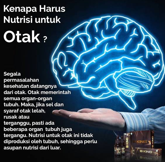 Berainking-Plus-Untuk-Anak-Wajib