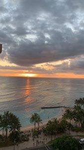 pp wa aesthetic alam